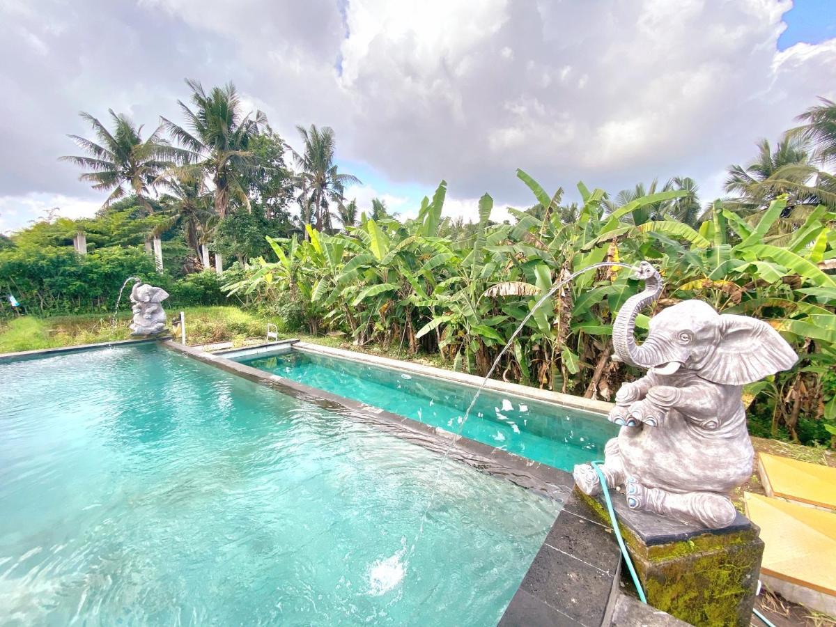 Ubud Rice Field House Esterno foto