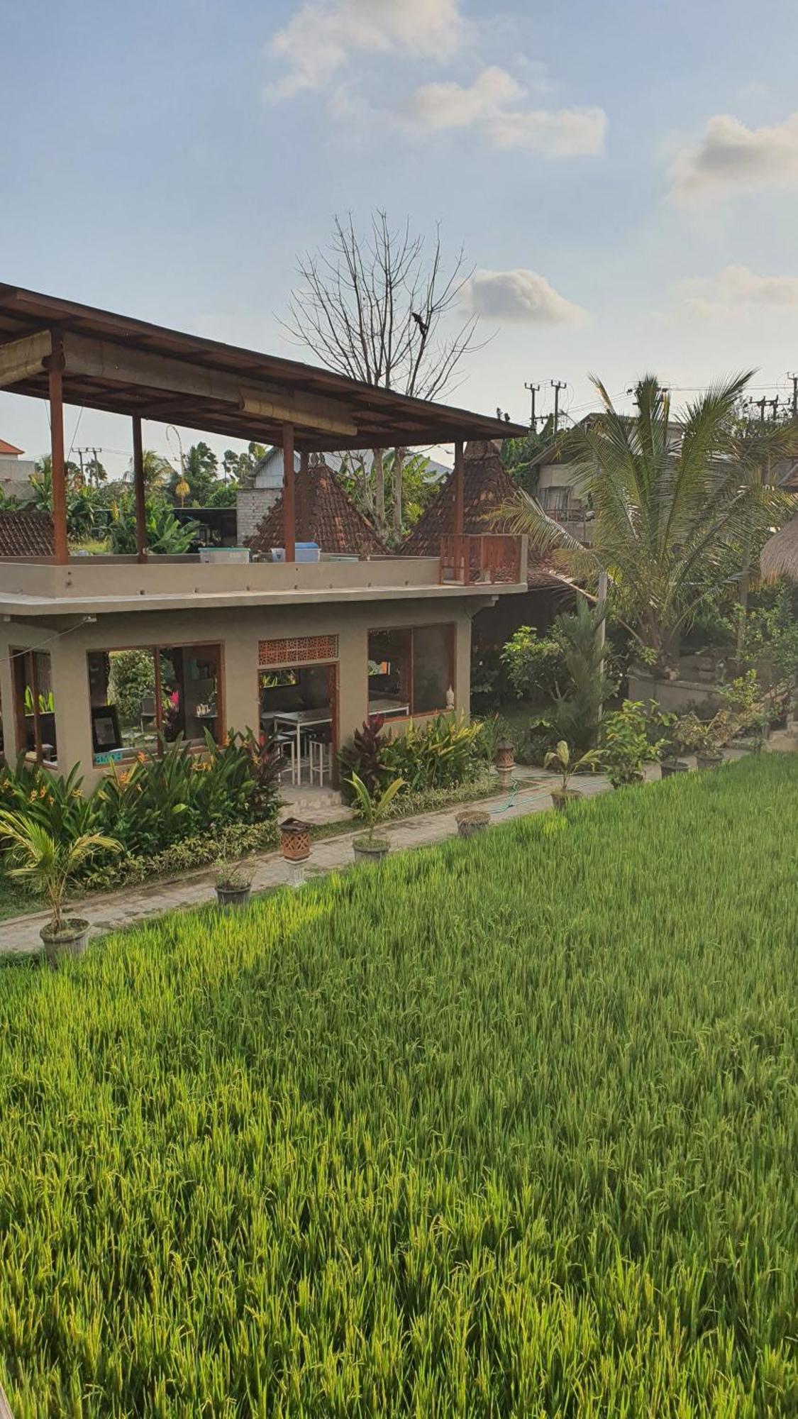 Ubud Rice Field House Esterno foto